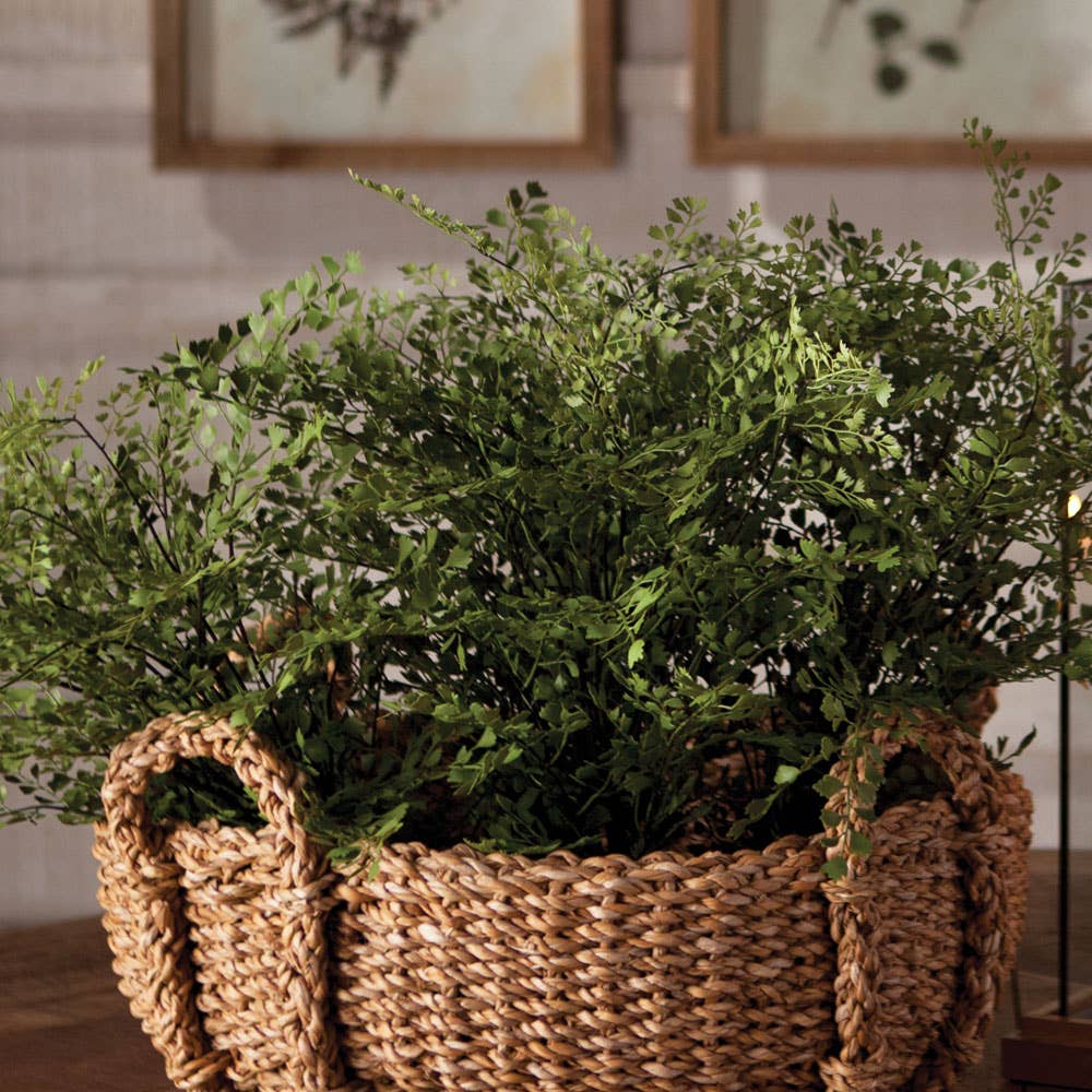 Maidenhair Fern Drop-In 13"