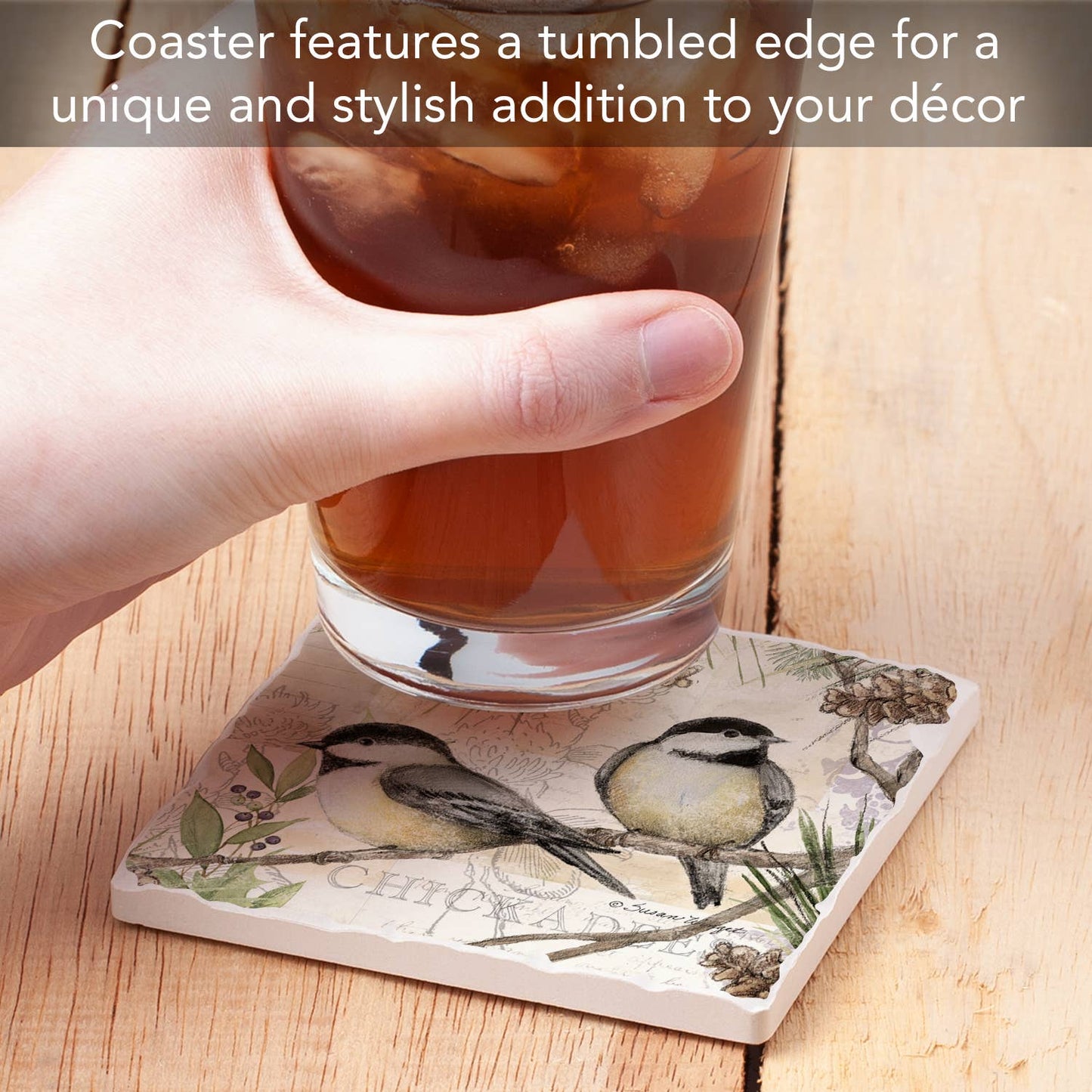 Chickadee Study Single Tumbled Tile Stone Coaster