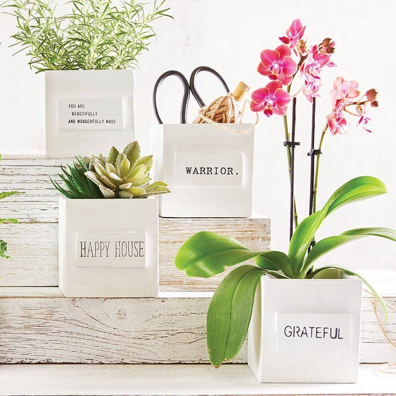 Nest Box Beautifully & Wonderfully Made