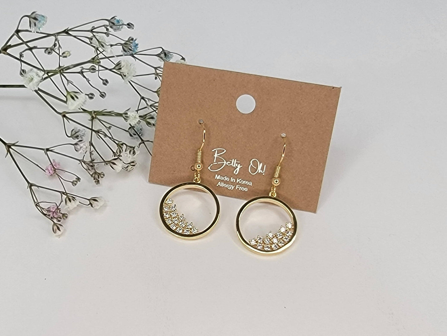 Circle Fill With Stones Hook Earring