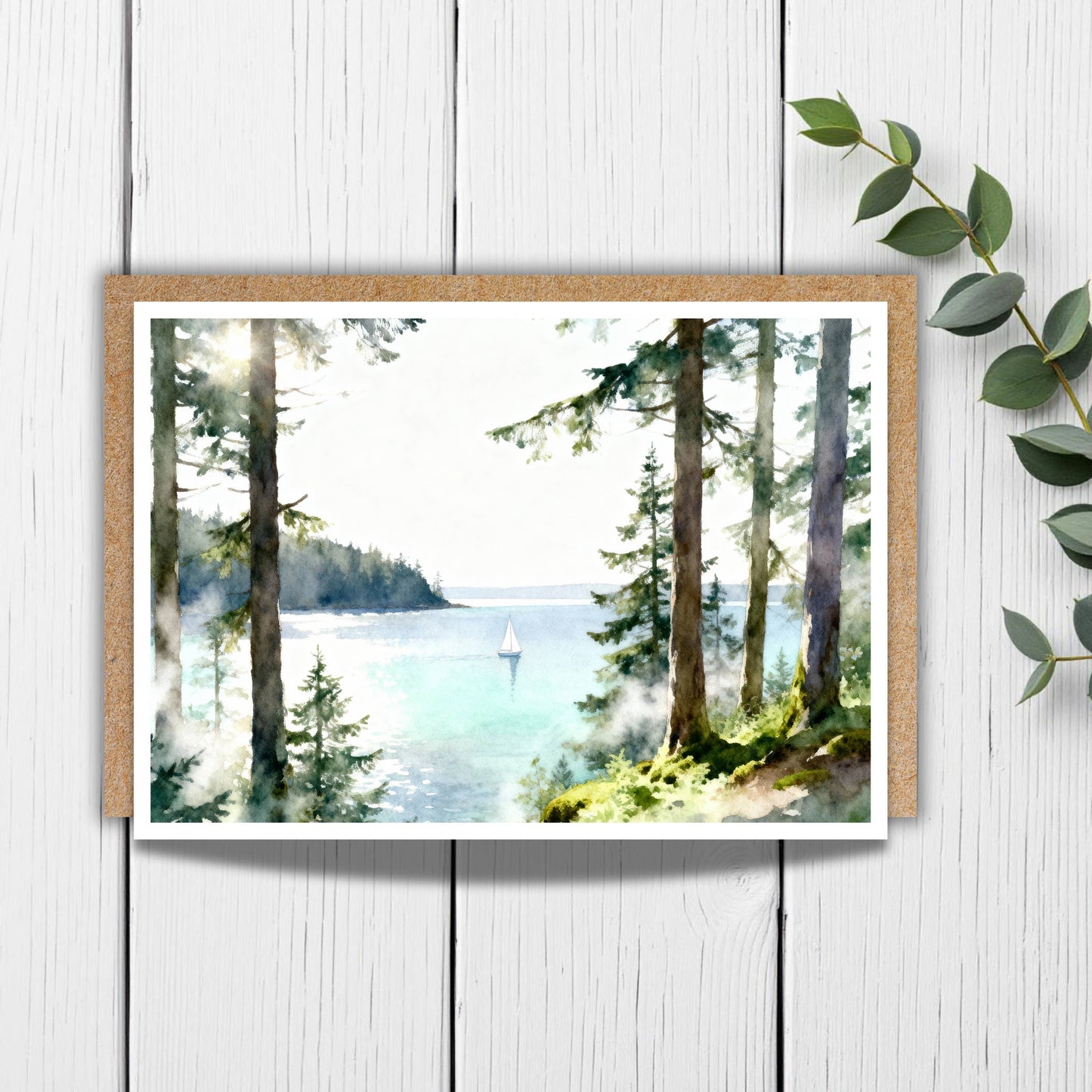 Evergreen Forest Water Scene Greeting Card