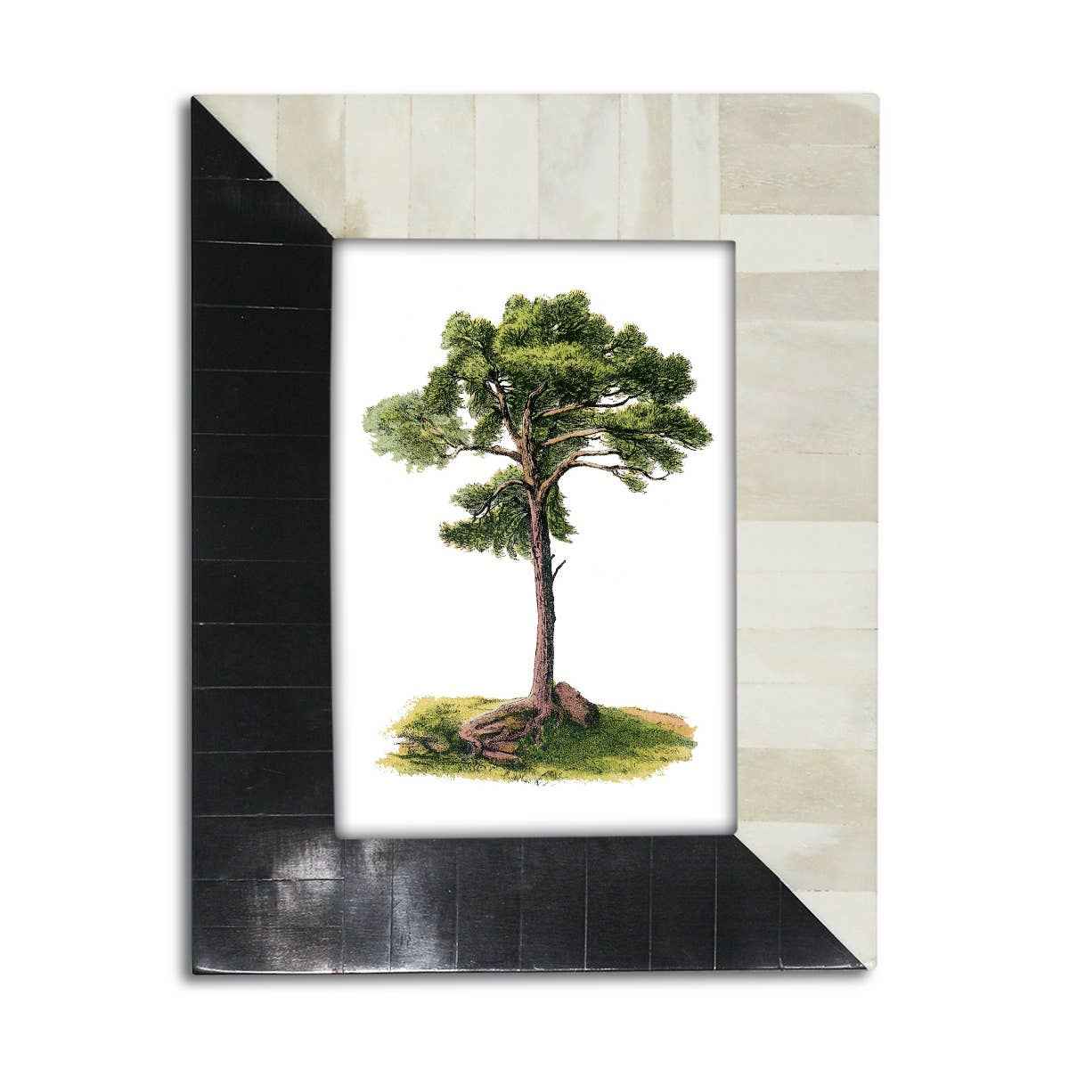 B&W Photo Frame 5x7