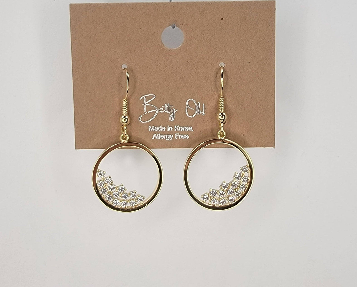 Circle Fill With Stones Hook Earring