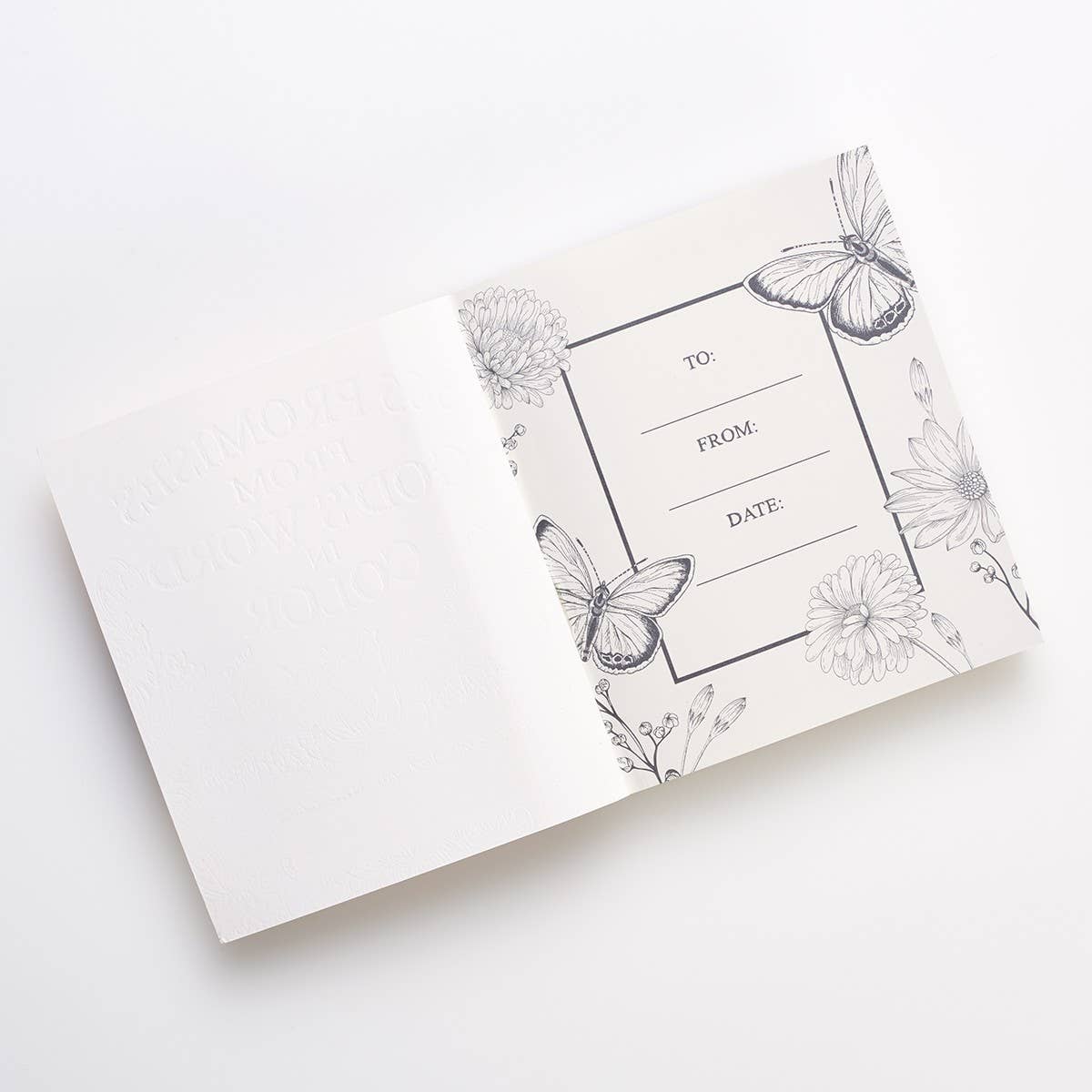 Coloring Devotional 365 Promises God's Word in Color