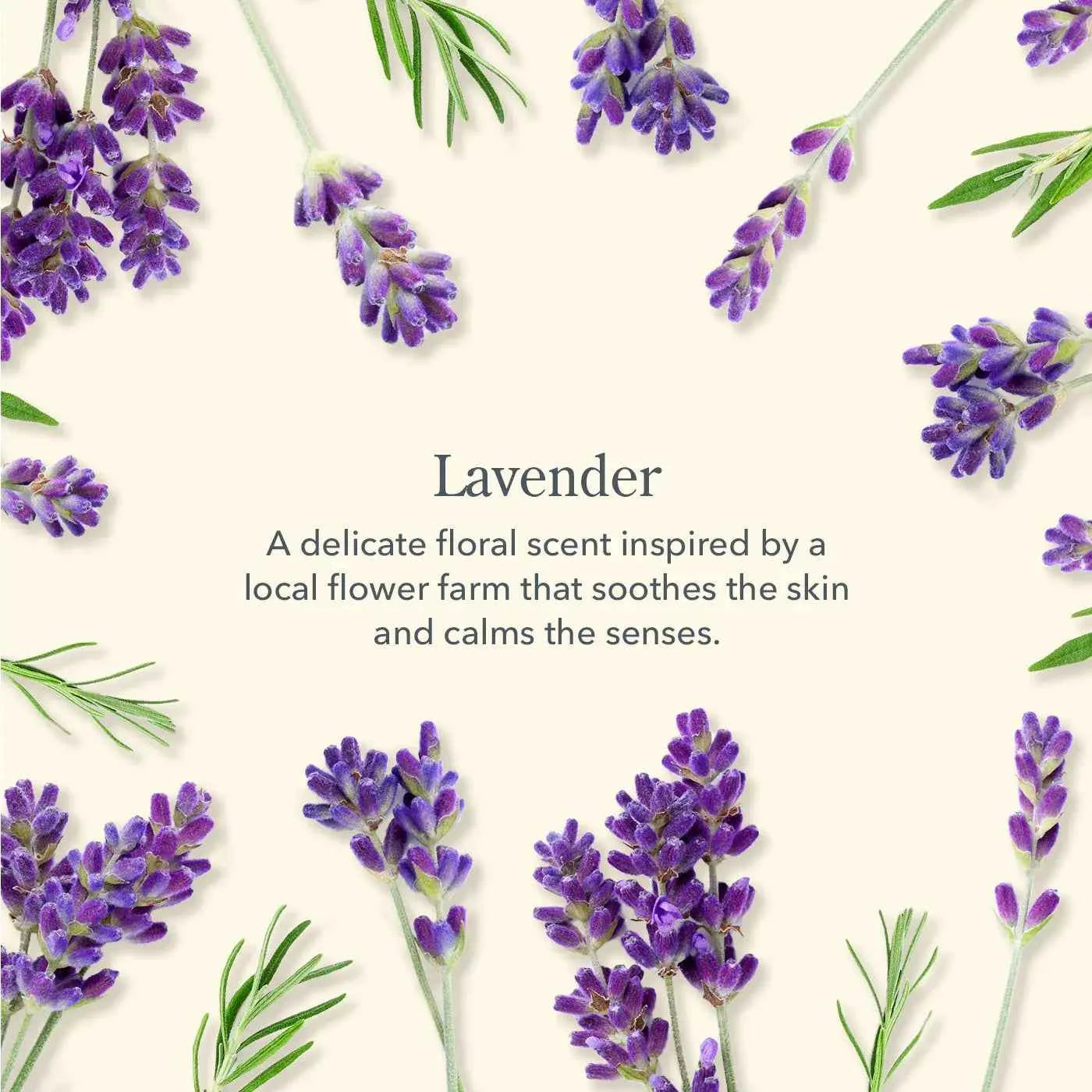 Lavender Goat Milk Bar Soap 9oz