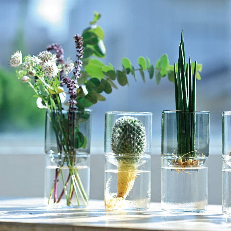 Glass Flower Vase