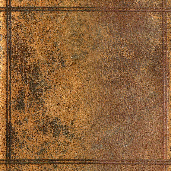 Vinyl Rug Leather
