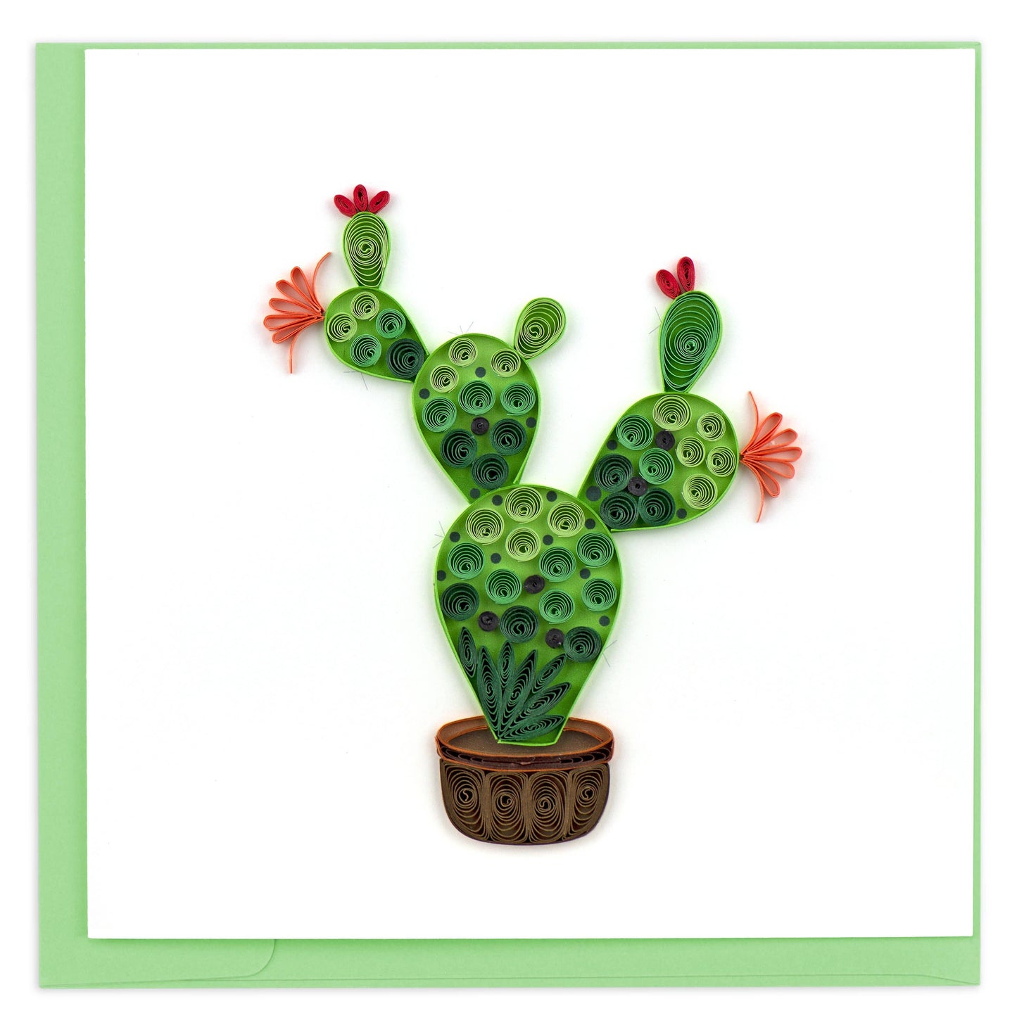 Prickly Pear Cactus