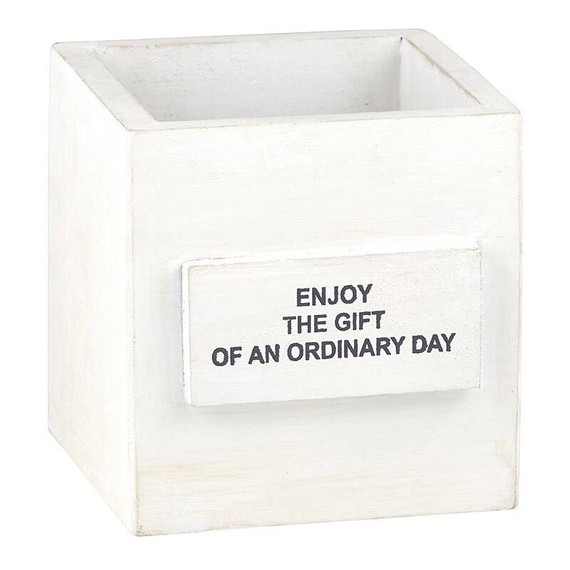Nest Box Ordinary Day