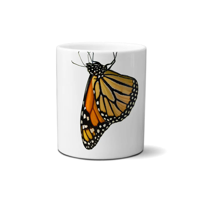 Monarch Butterfly by Snout Mugs
