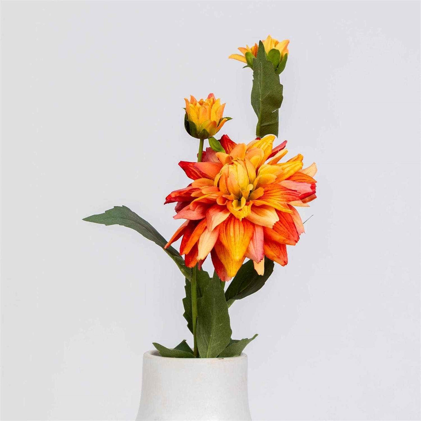 Stem - Dahlia Orange (PK/12)