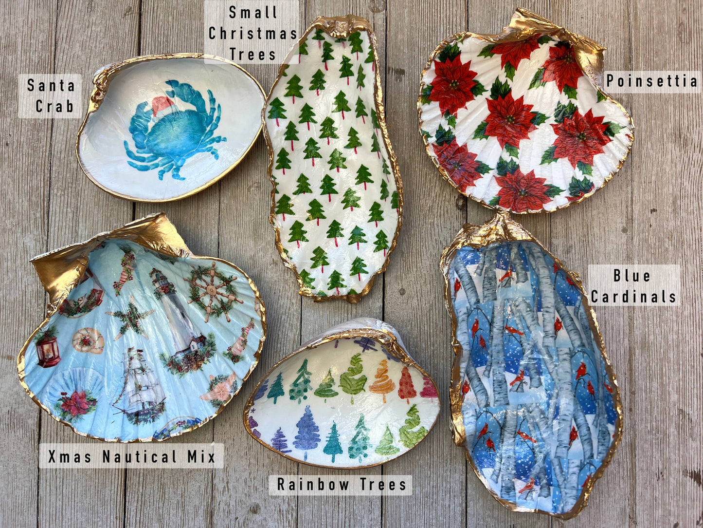 Ten Twenty Six Designs - Christmas Shells