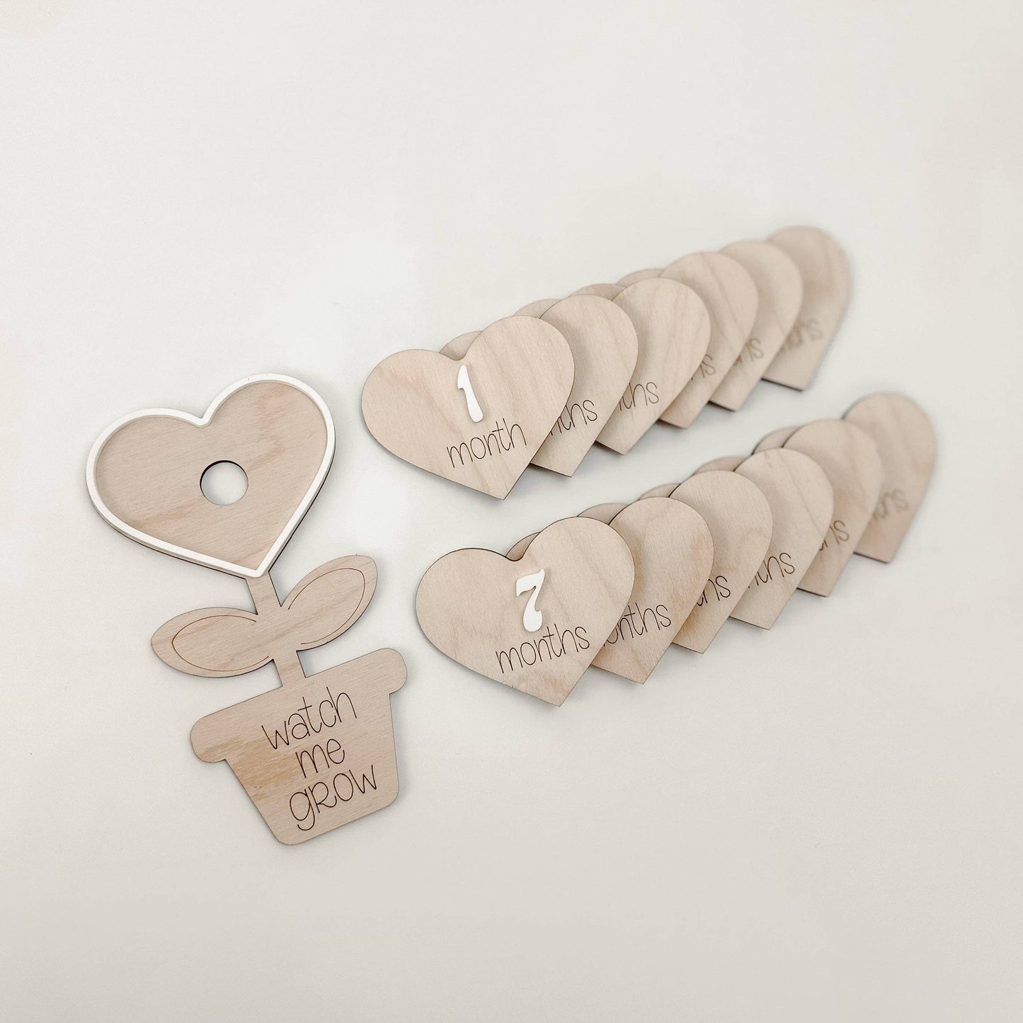 Flower Pot Baby Monthly Markers