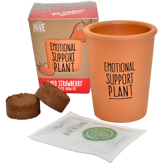 Inspirational Grow Kit - Wild Strawberry