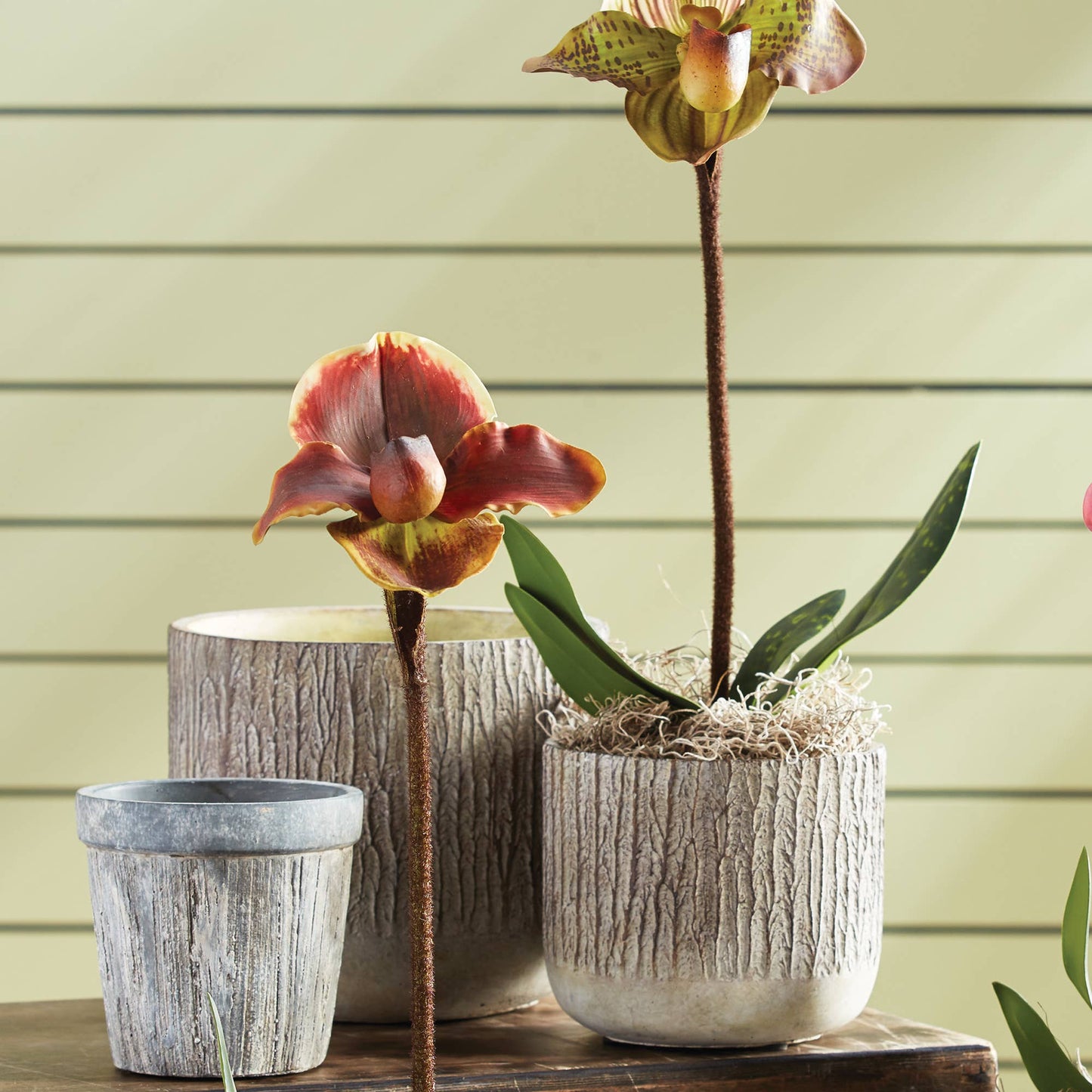 Faux Bois Pots, Set Of 2