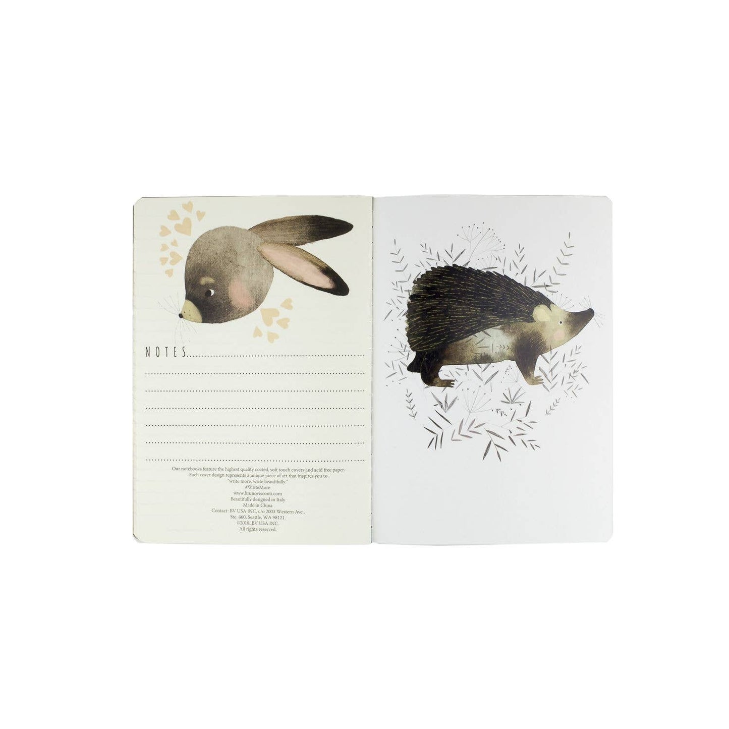 N Fauna Astd 8.27"