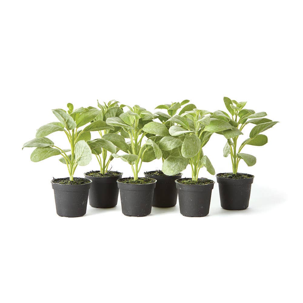 Sage Drop-In 6.5"