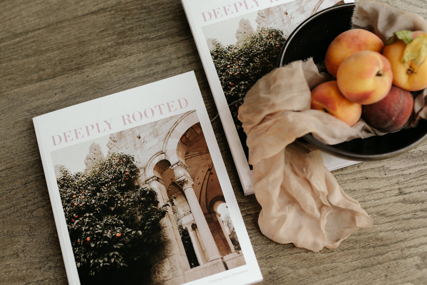 Deeply Rooted Issue 14: The Church