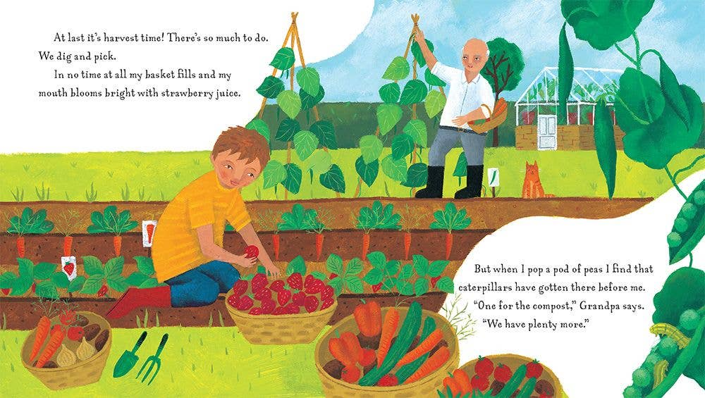 Grandpa's Garden Children's Book