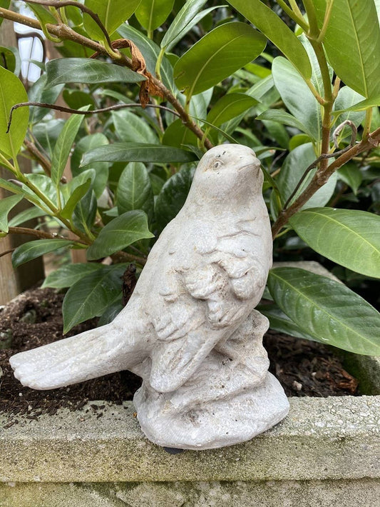 Estatua alta de pájaro de cemento