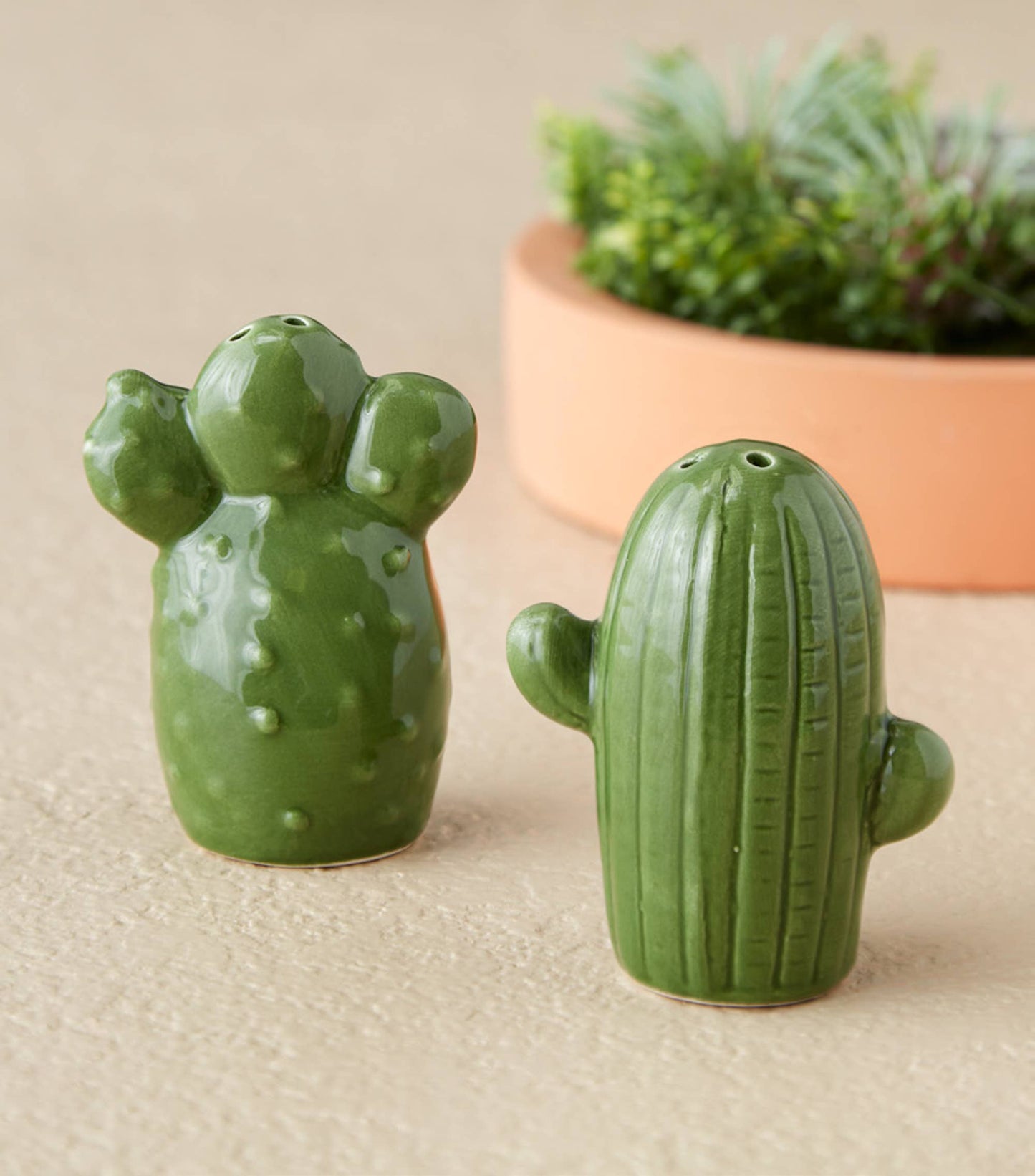 Design Imports - Cactus Ceramic Salt & Pepper Shakers
