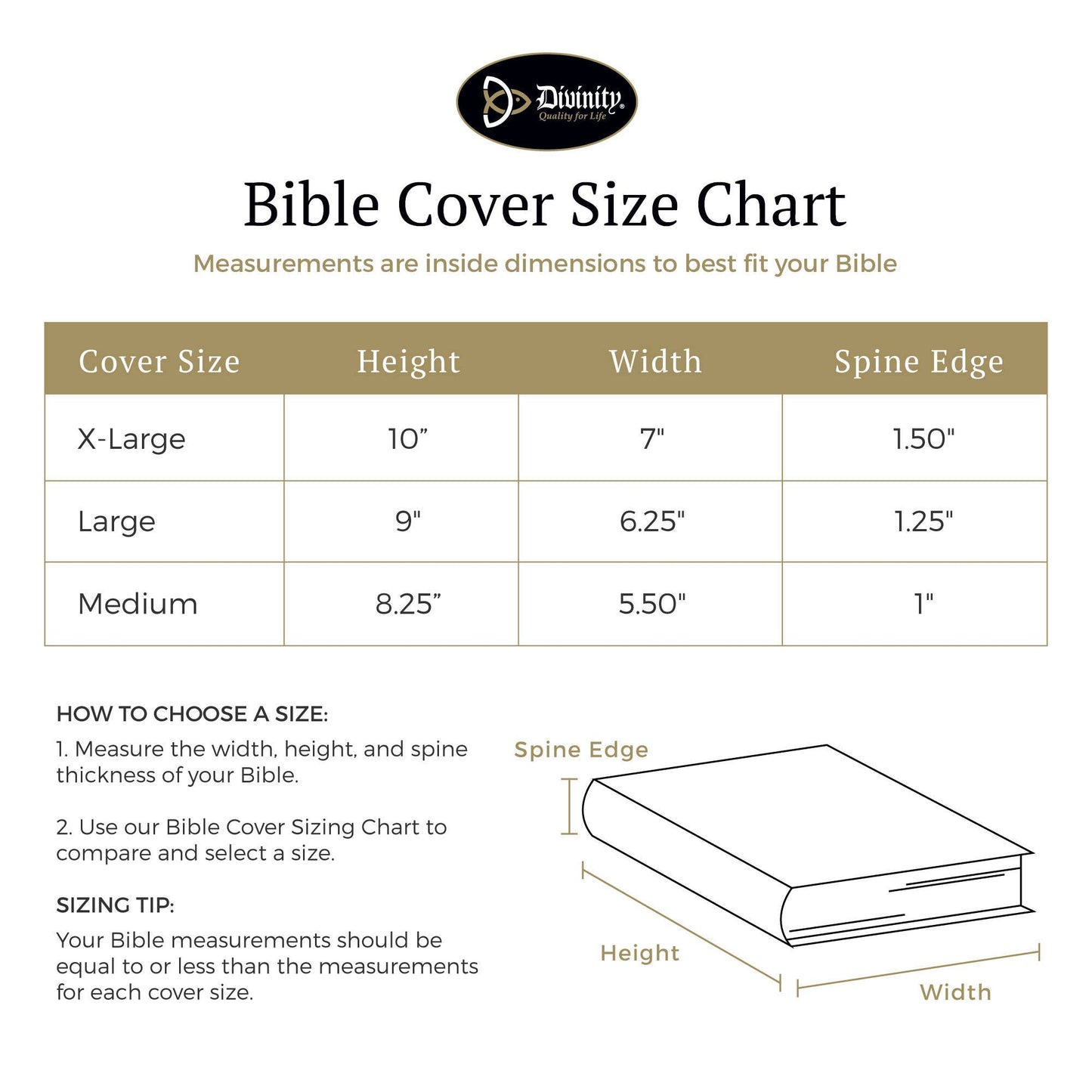 Divinity Boutique - Bible Cover: For We Are