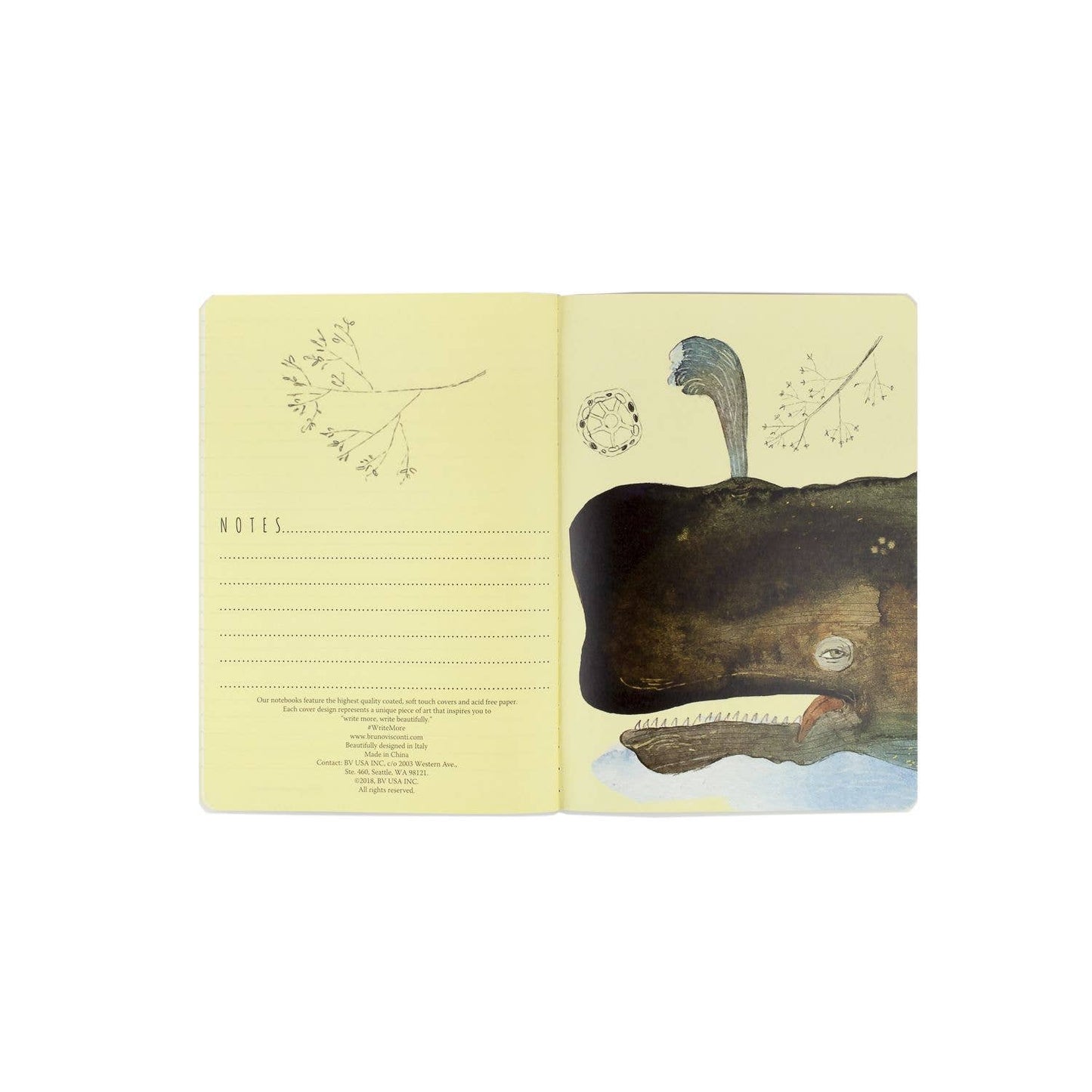 N Fauna Astd 8.27"