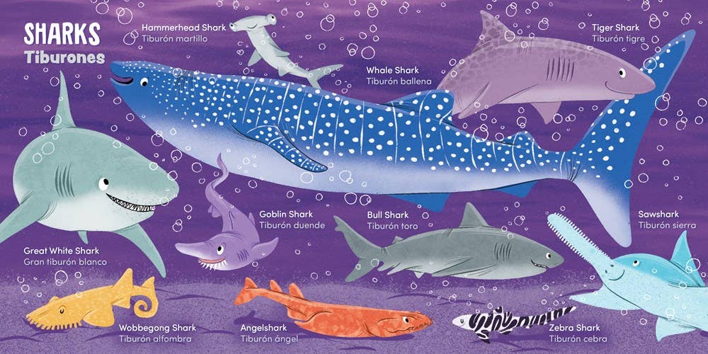 My First 100 Ocean Words in English and Spanish- Lil' Libros