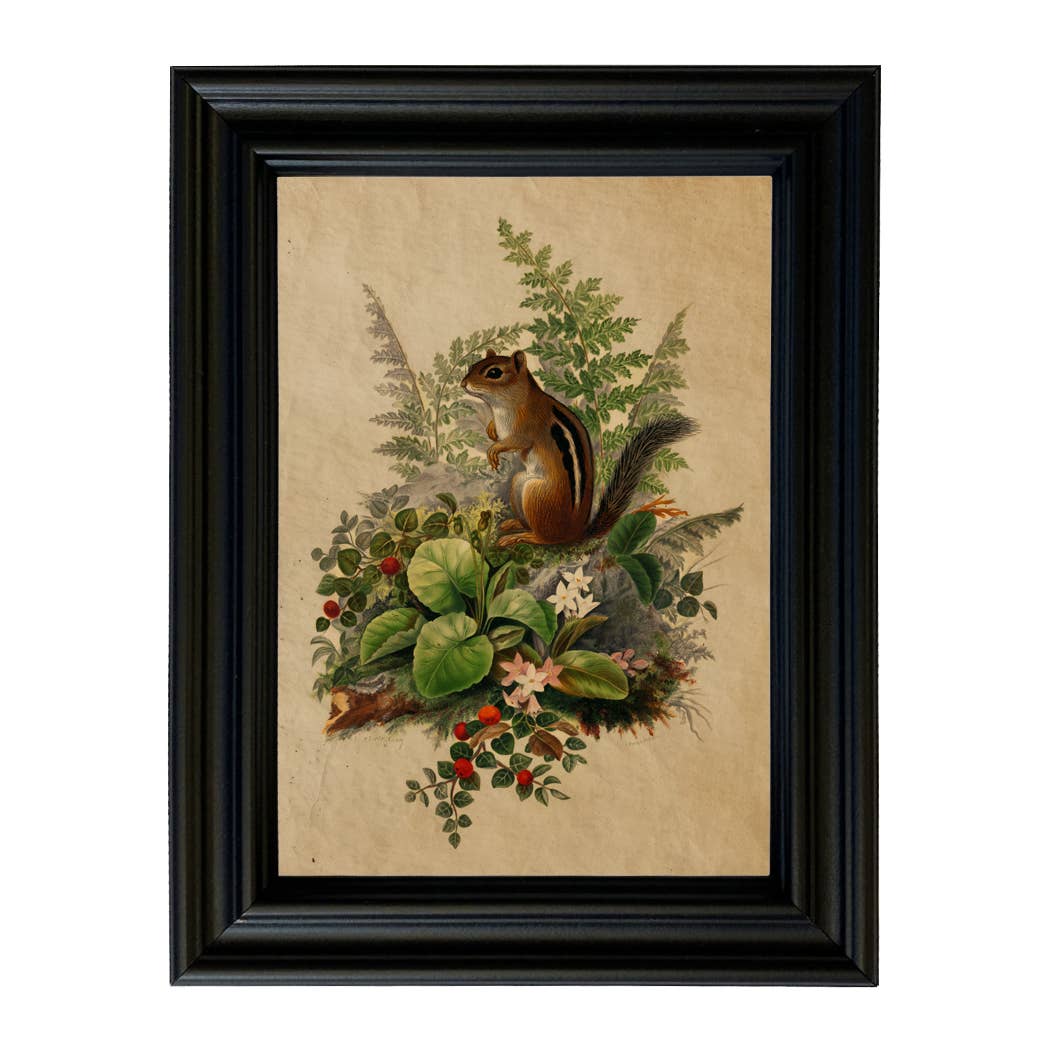 Woodland Chipmunk Cottagecore Framed Reproduction Print