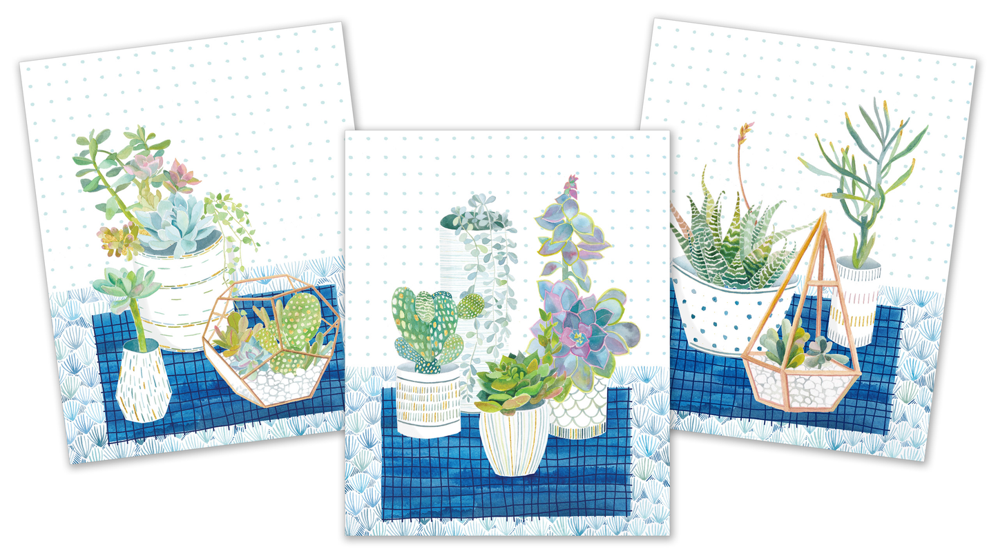 Succulents Art Prints