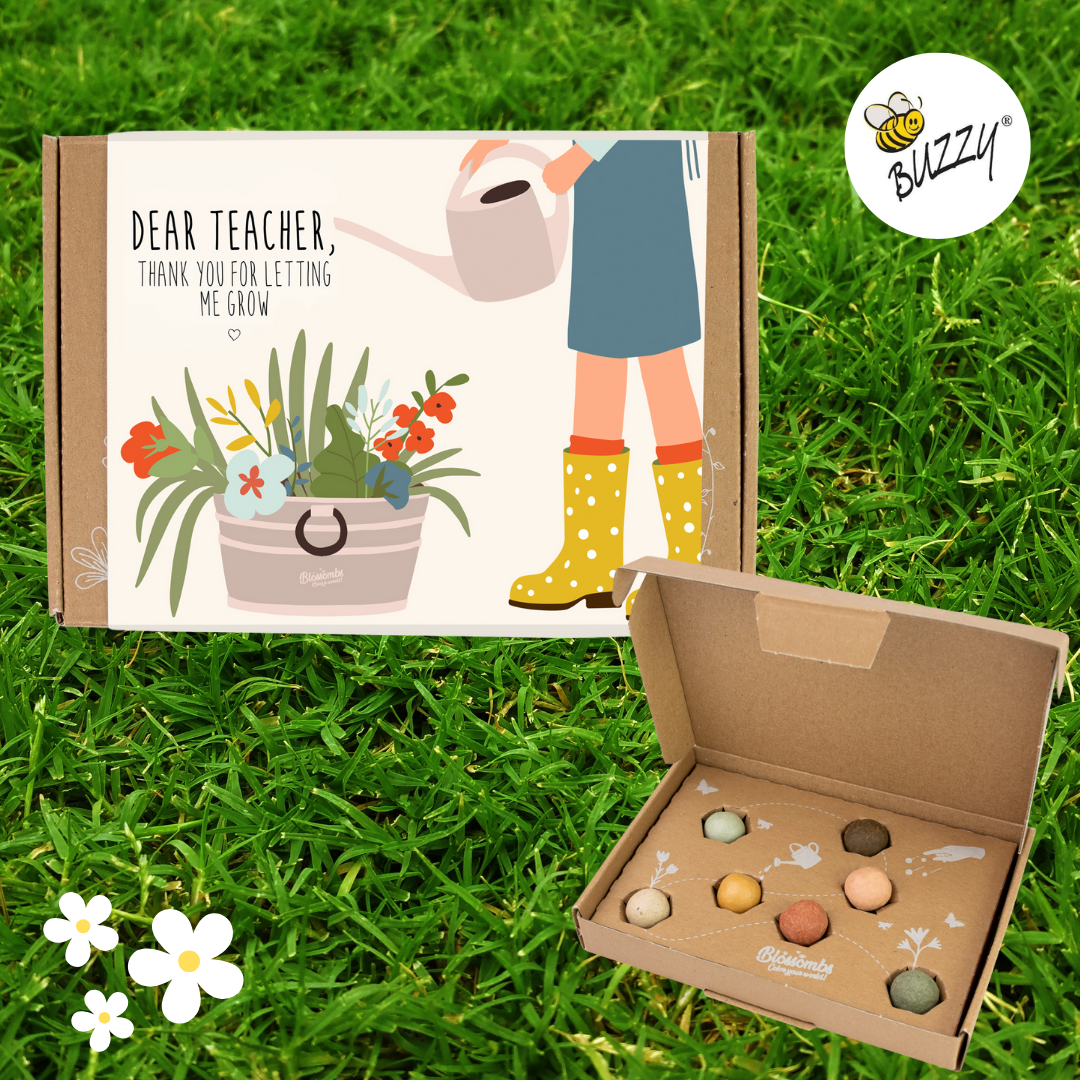 Blossombs Small Box - Dear Teacher- 7 Seed Bomb Balls