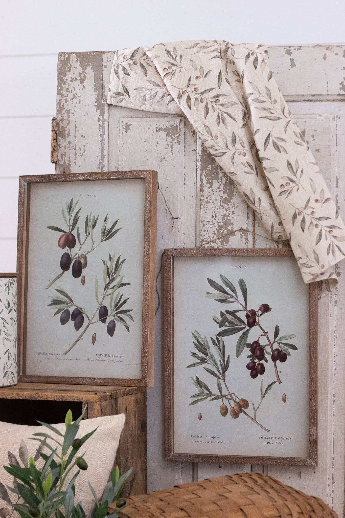Framed Prints - Olive Branches (2)