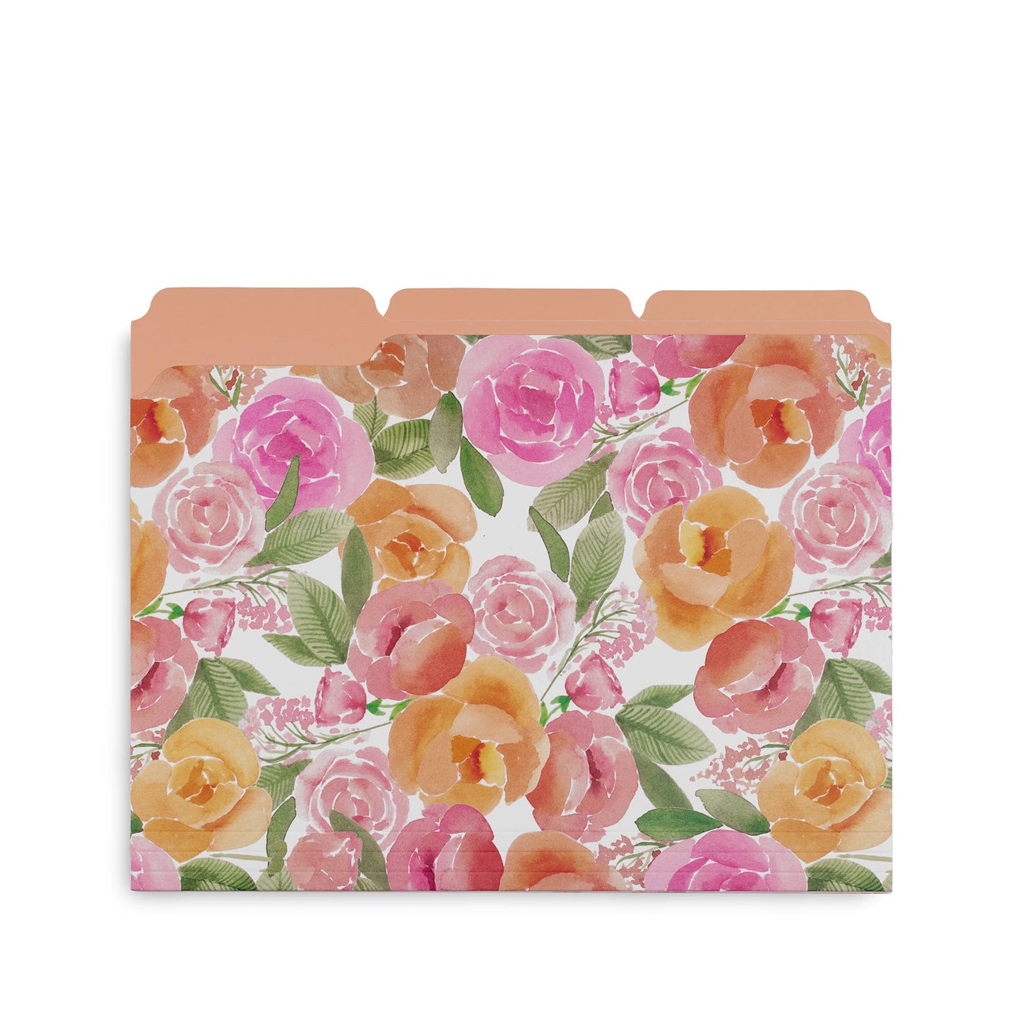 File Folders, Full Posey/Scattered Posey/Bold Floral-Set of 9