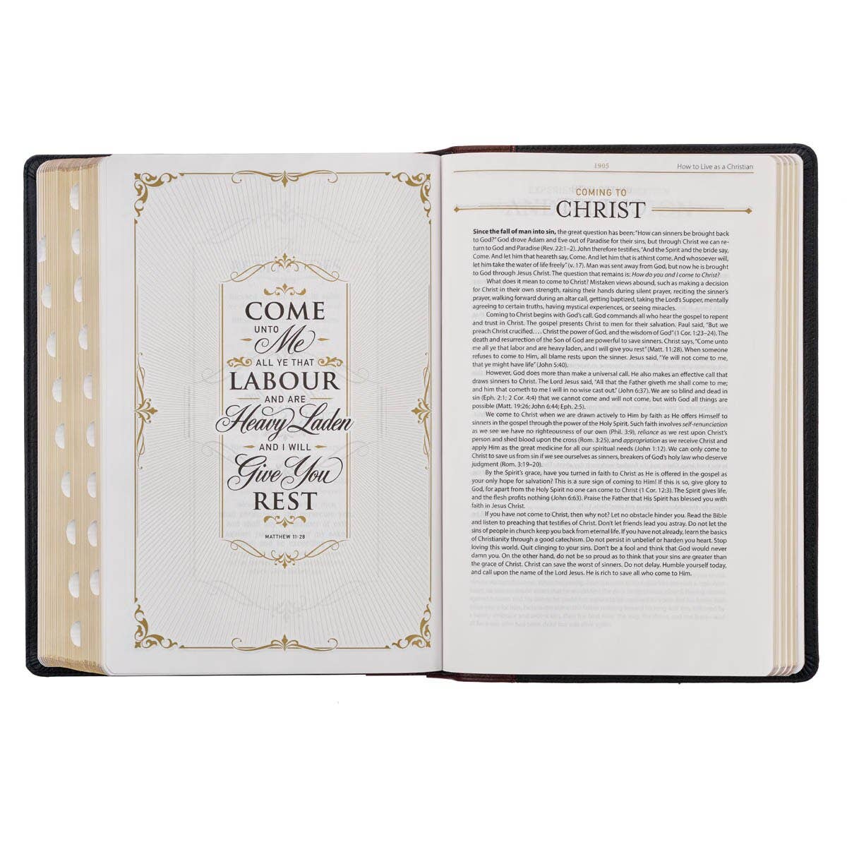 KJV Study Bible LP Full-grain Leather, Black/Burgundy