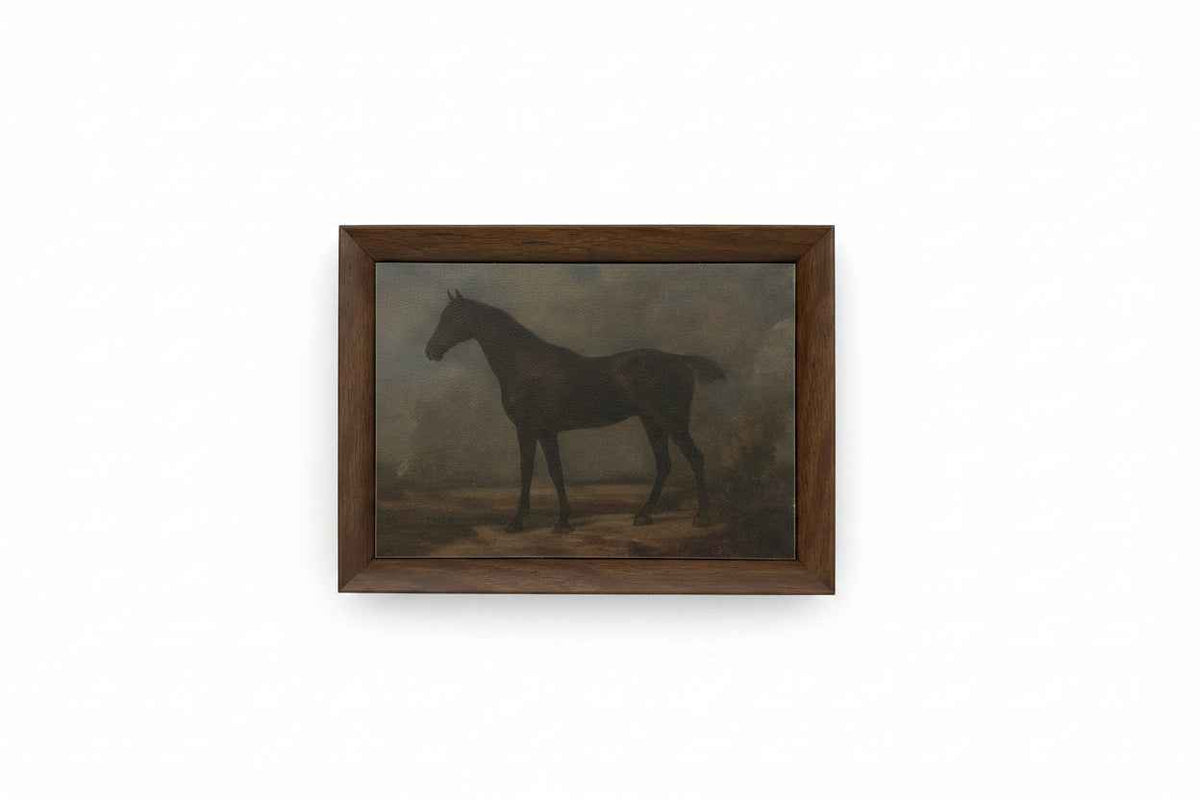 Canvas Art Framed - Horse 8 x 6