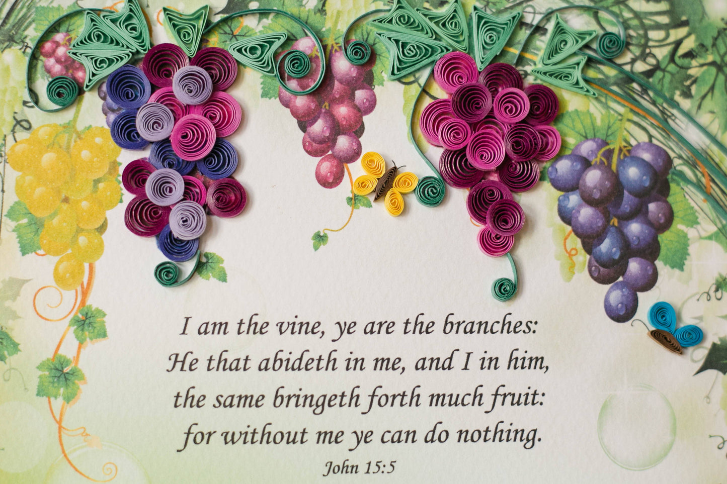 The Vine