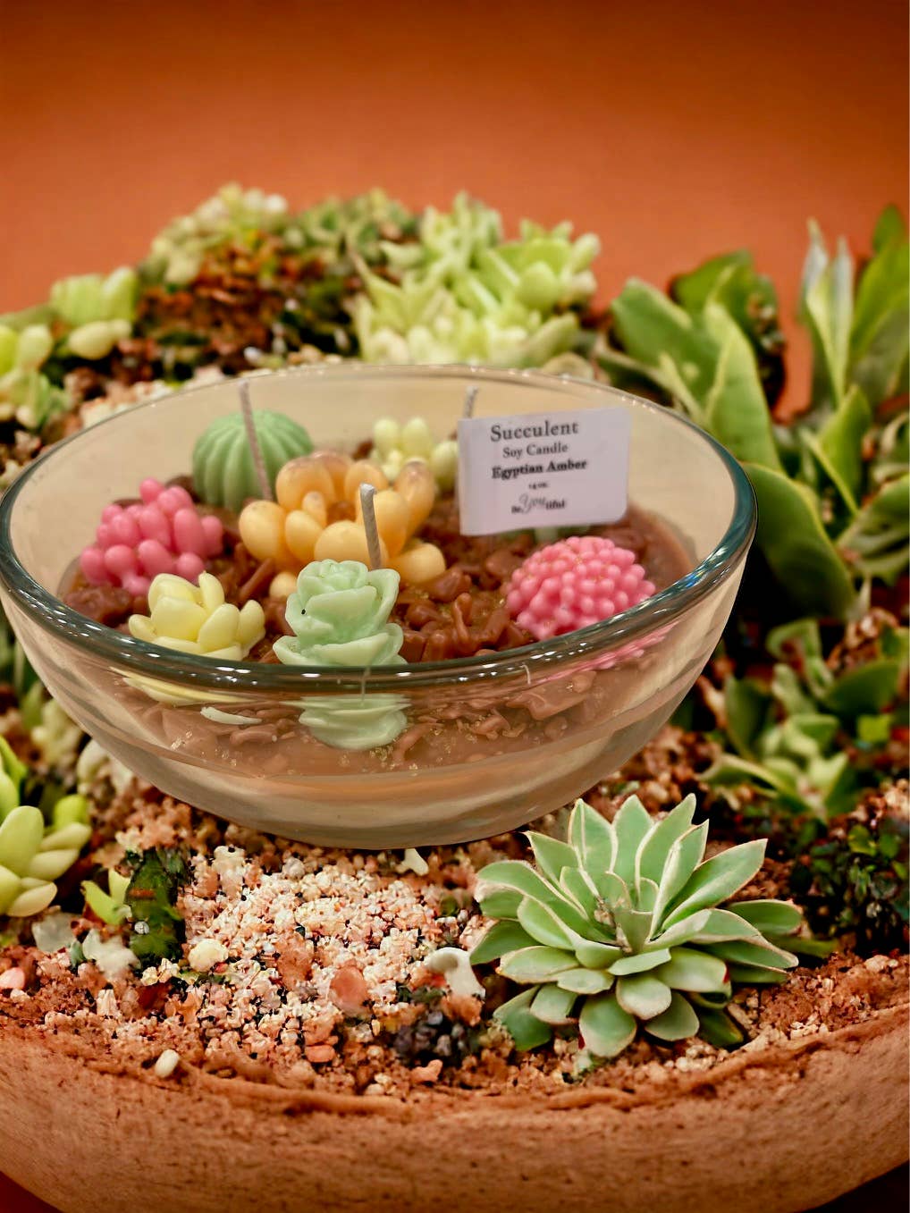Succulent Candles