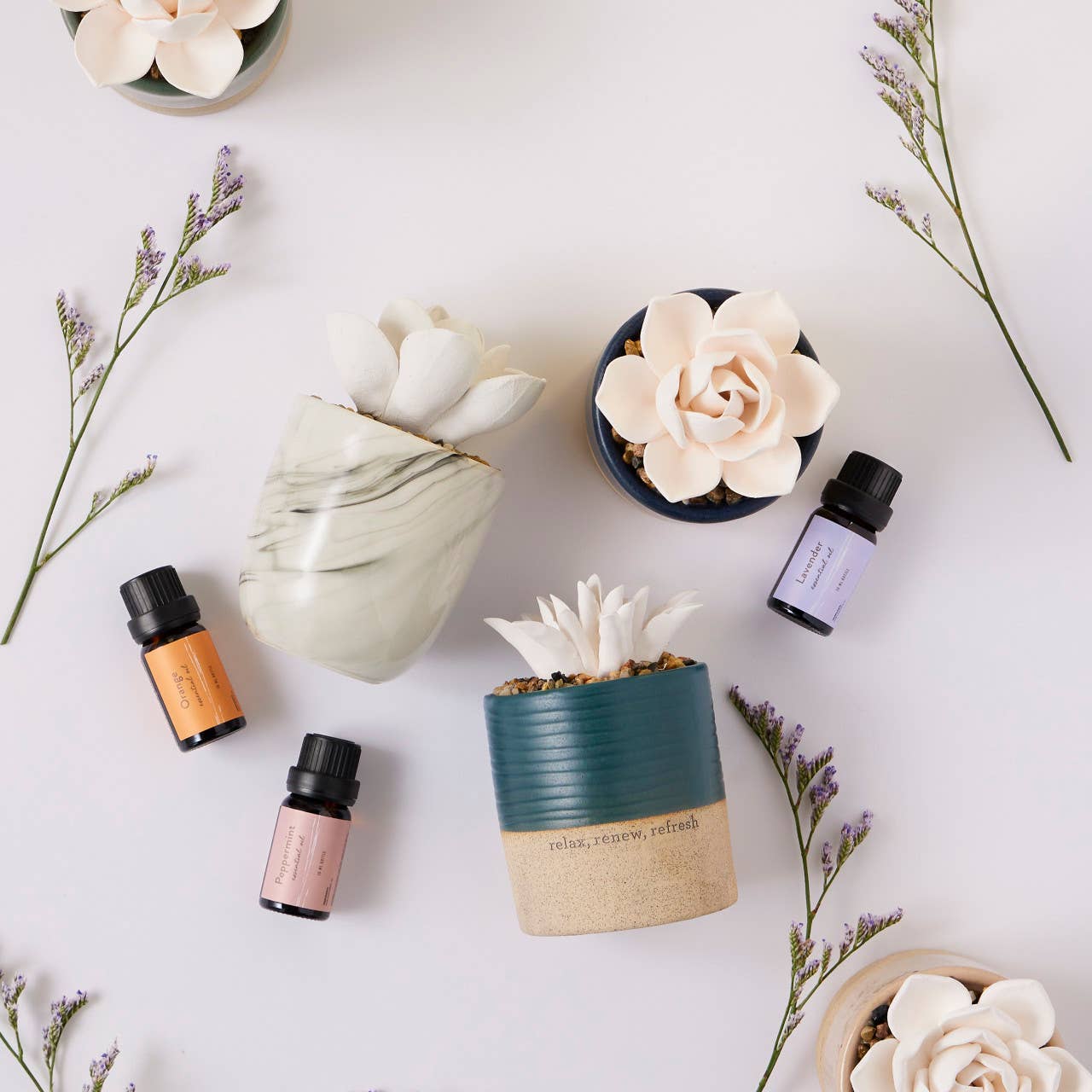 Succulent Oil Diffuser Relax