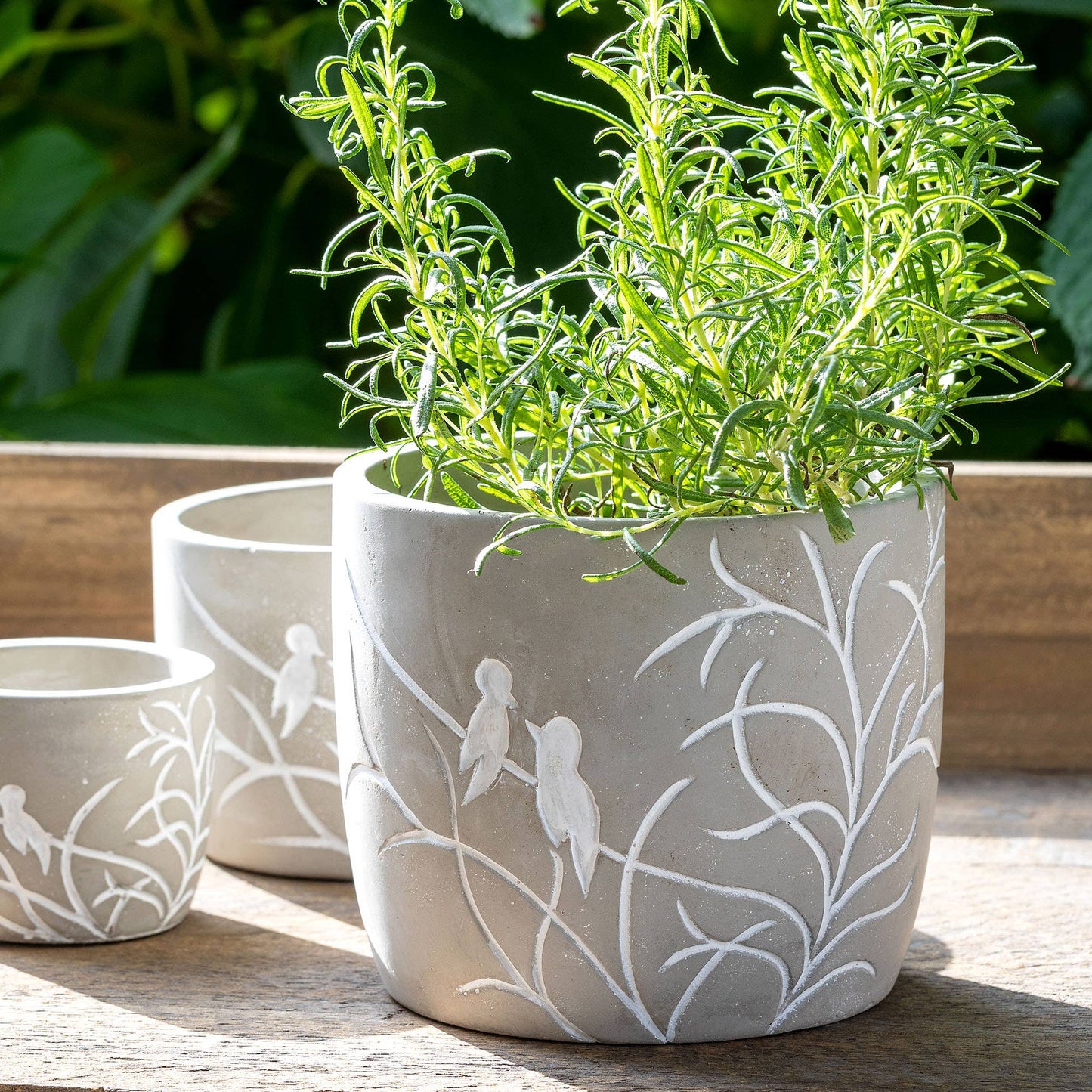 Lovebirds Silouette Cement Pot, Large