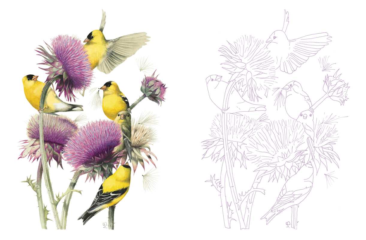 Posh Adult Coloring Book: Inspired by Nature by Marjolein Bastin