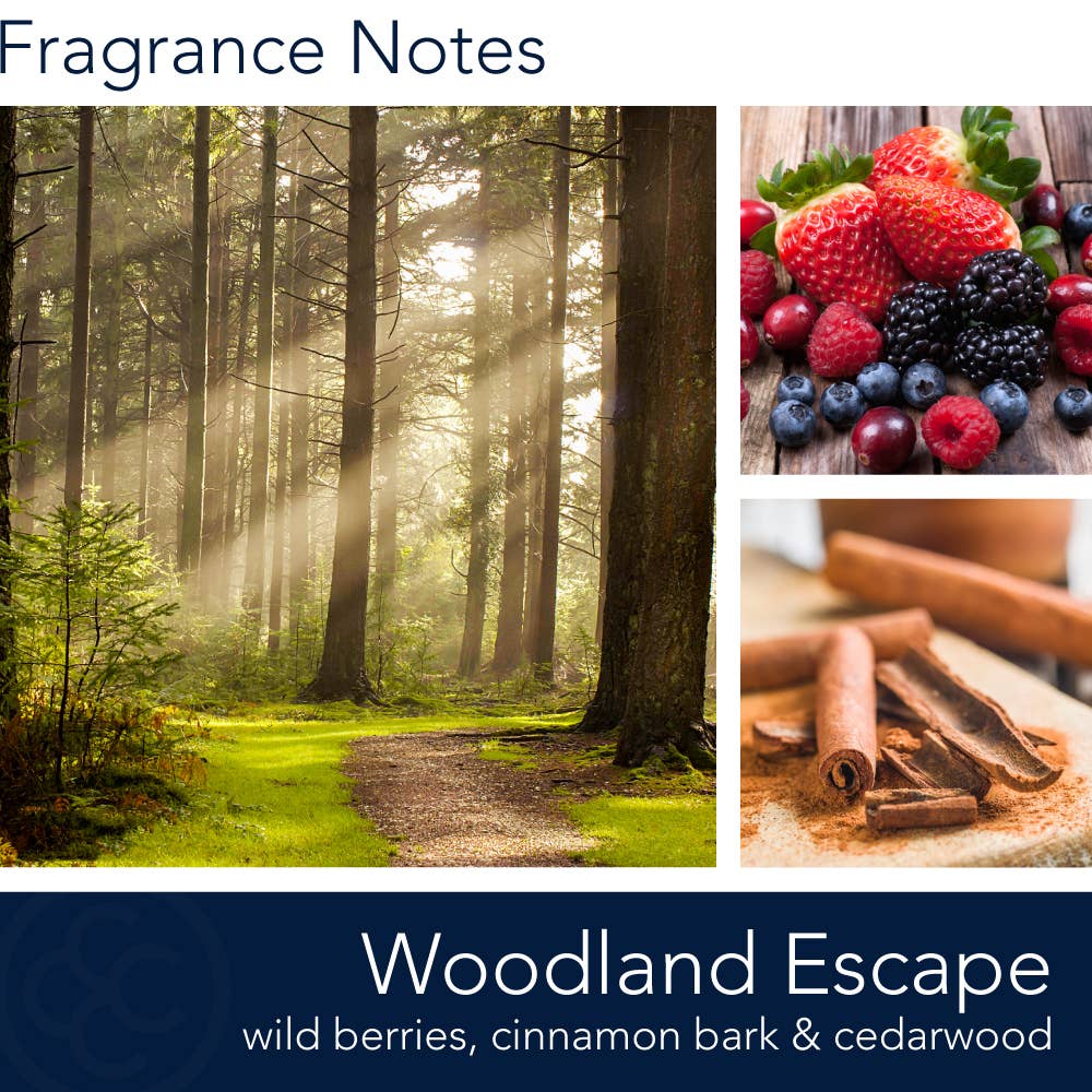 Manly Indulgence Signature Woodland Escape, 15 oz