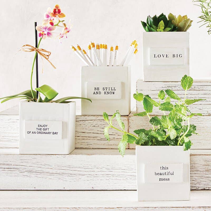 Nido para pájaros - Ama en grande