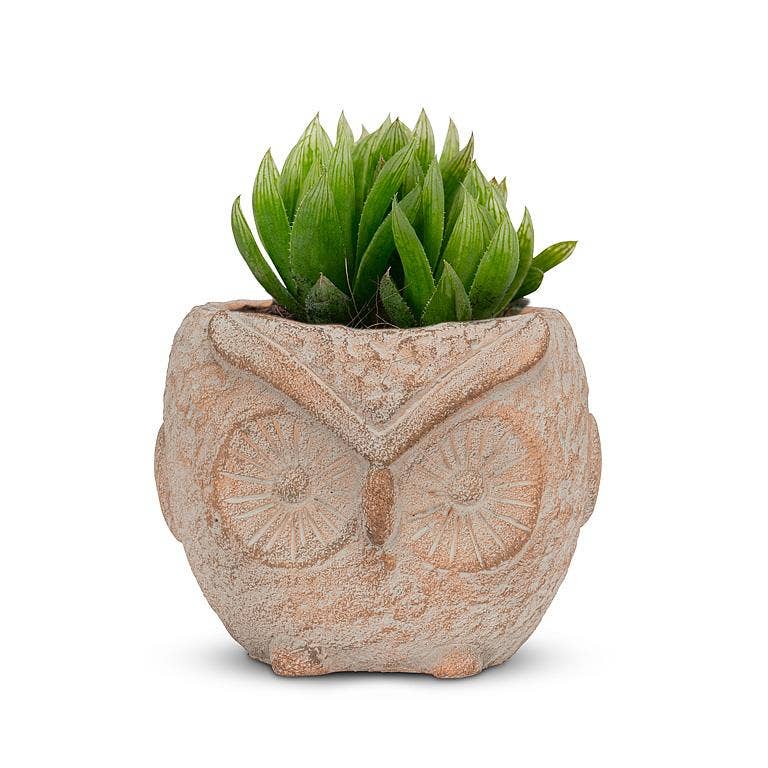 Owl Planter, Terracotta 3"