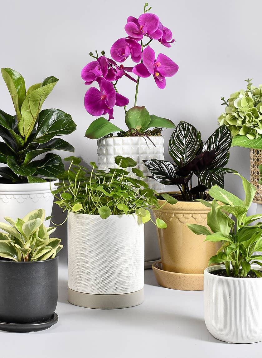 5 ¾in White Ceramic Studs Vase