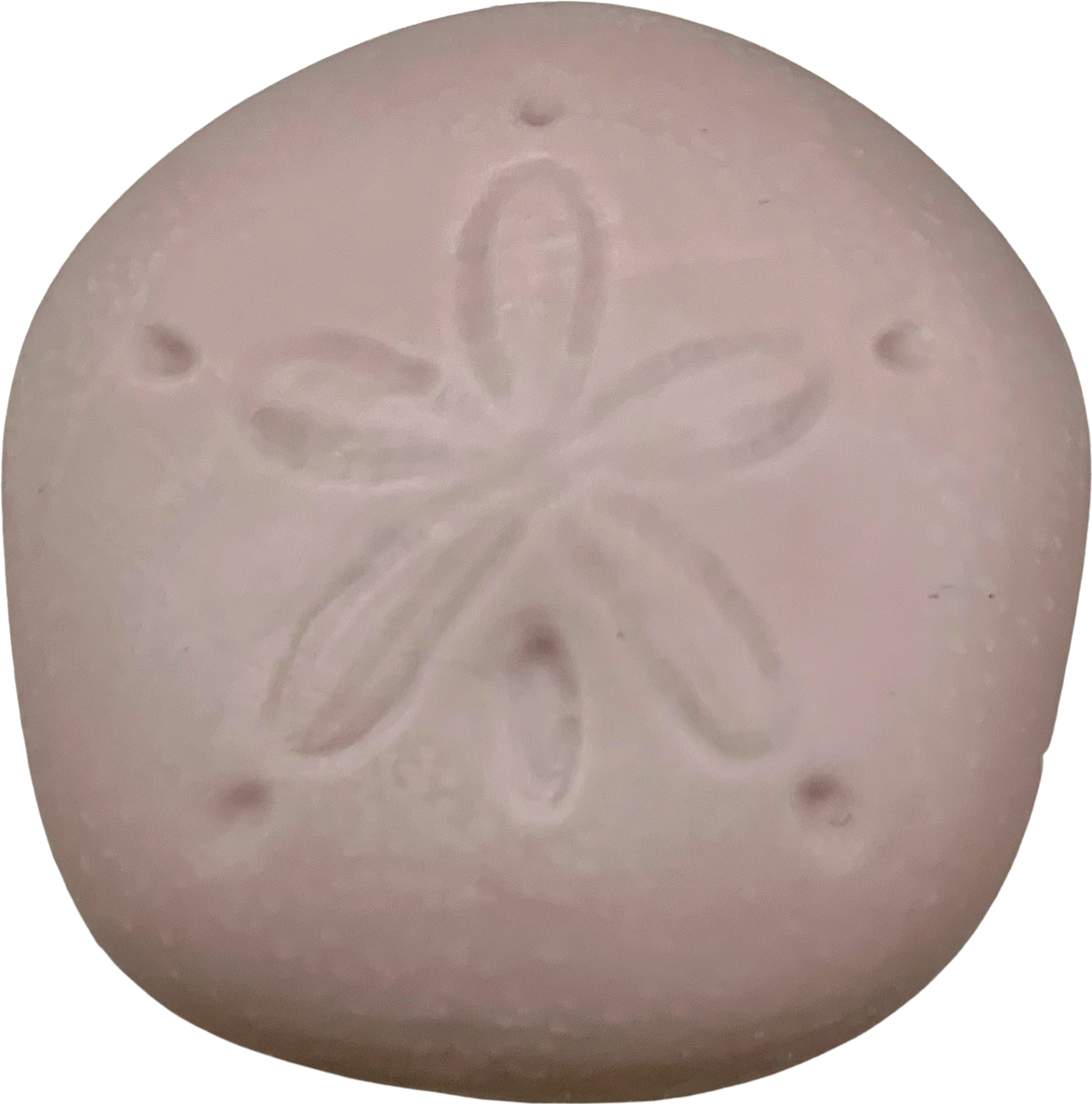 Sand Dollar Soap