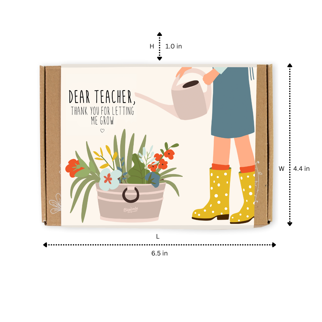 Blossombs Small Box - Dear Teacher- 7 Seed Bomb Balls