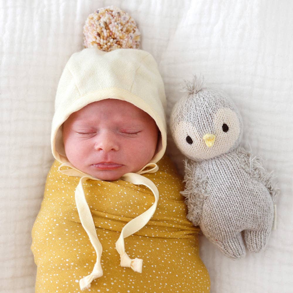Baby penguin