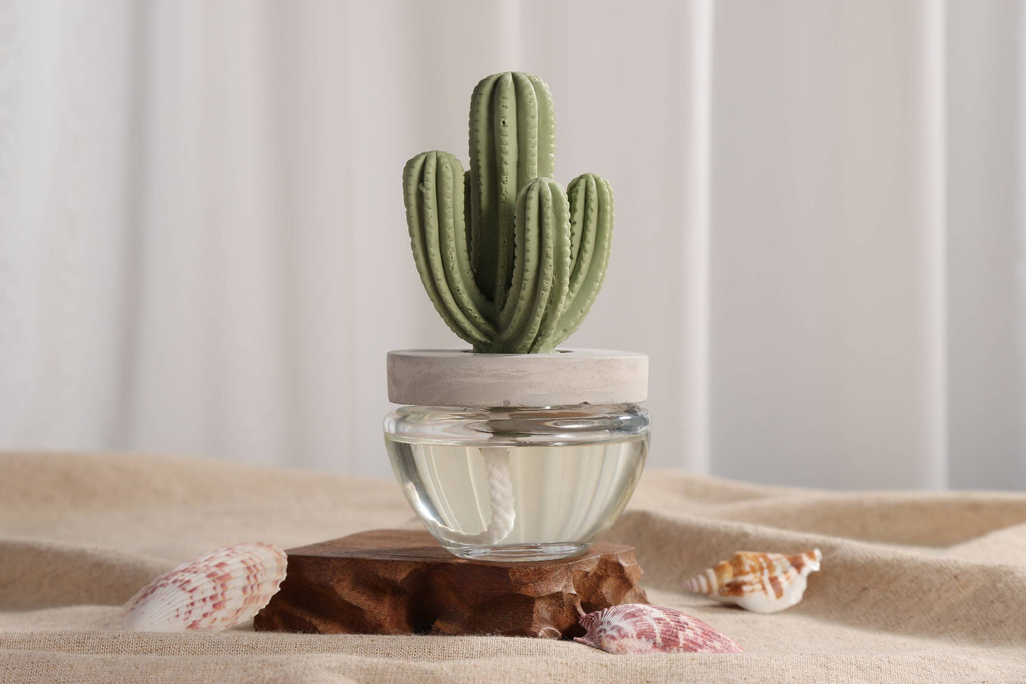Saguaro Cactus ceramic diffuser gift set -100ml