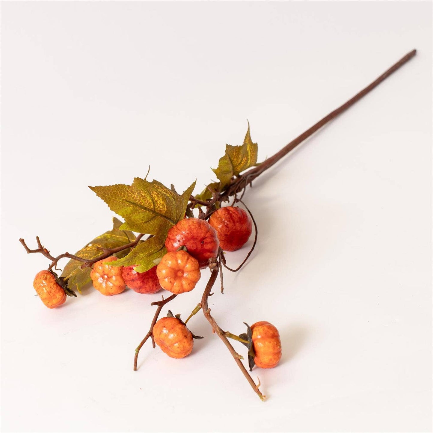 Stem - Pumpkin Branch Orange