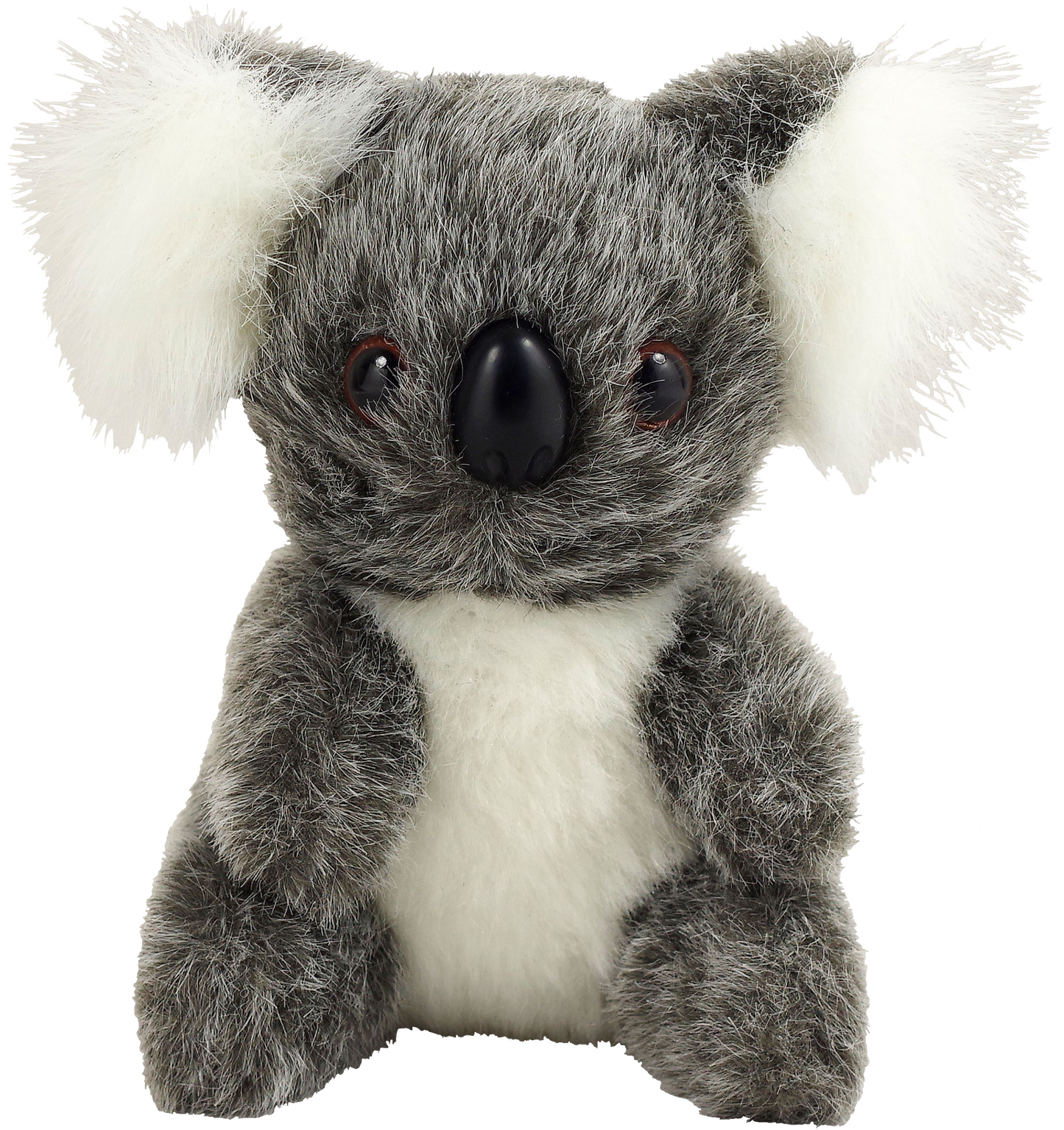 Hug a Koala Kit